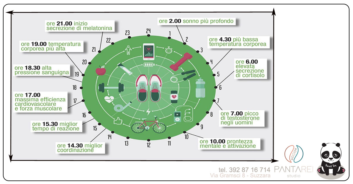 OrologioBiologicoLuca