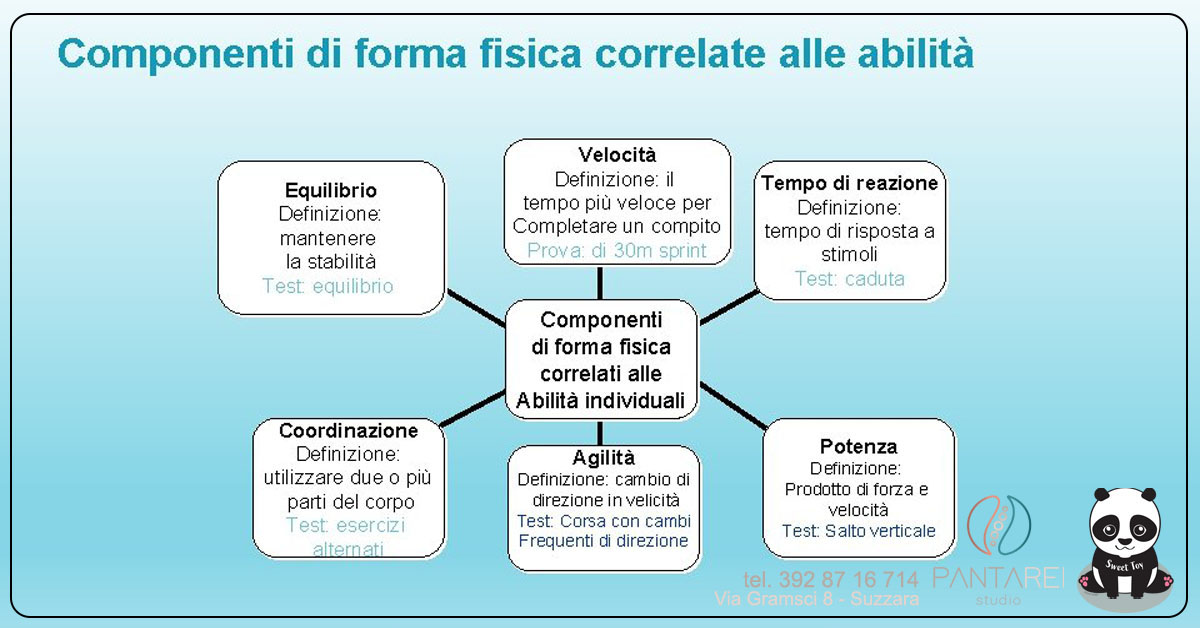 ComponentiFormaFisica