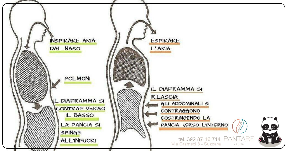 respiroediaframmaLuca